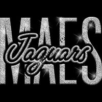 GLT95 SILVER GLITTER Thumbnail